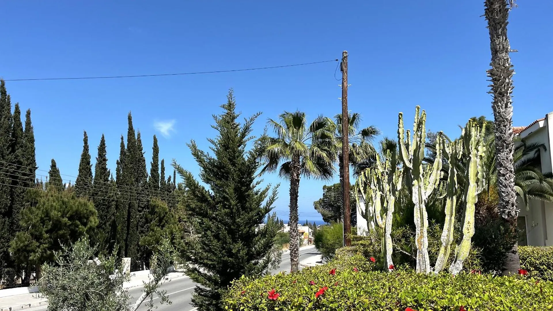 Stay Alkyoni Villa Protaras
